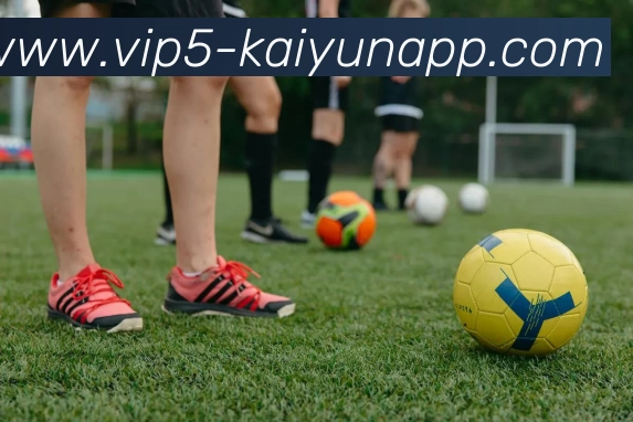 开云体育APP 封面图